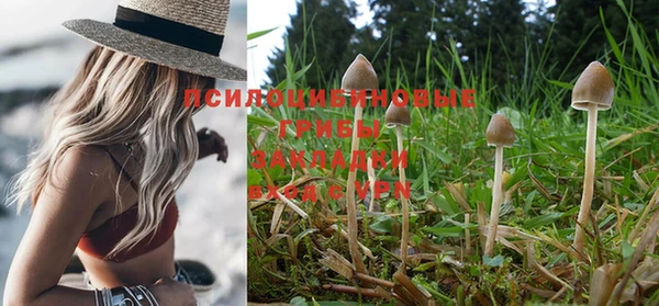 мяу мяу кристалл Лабытнанги