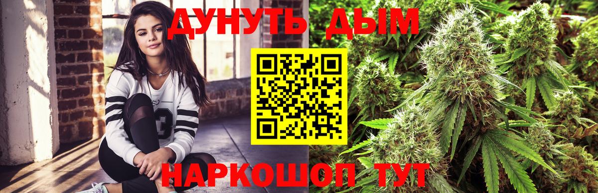 Канабис ГИДРОПОН Маркс